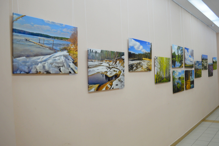 Фрагмент экспозиции. Фото Виктора Шляхина Фрагмент экспозиции