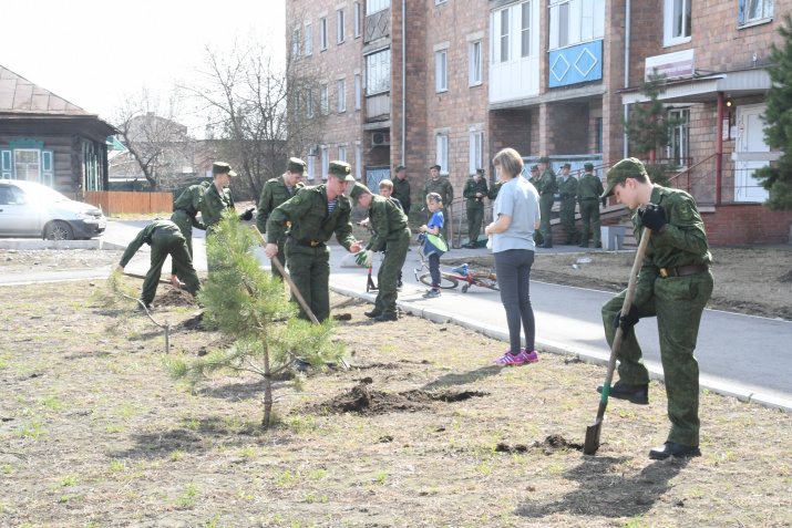 Высадка деревьев. Фото Минусинского отделения РГО