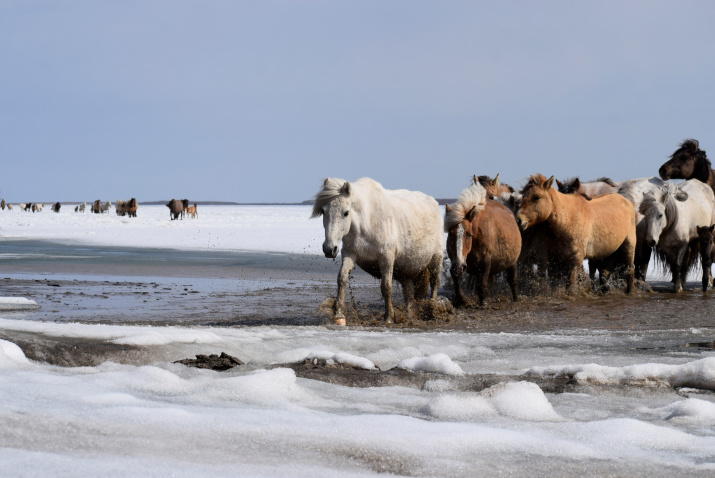 На реке Лене уже появились закраины. Фото П. Ноговицына