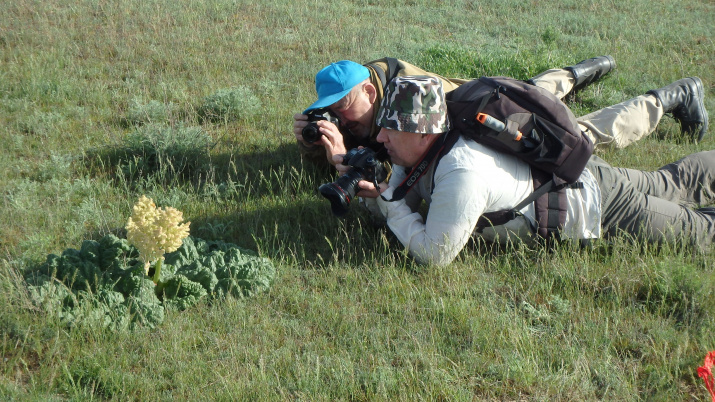Охотники за растениями  (фото Головачева И.В.)