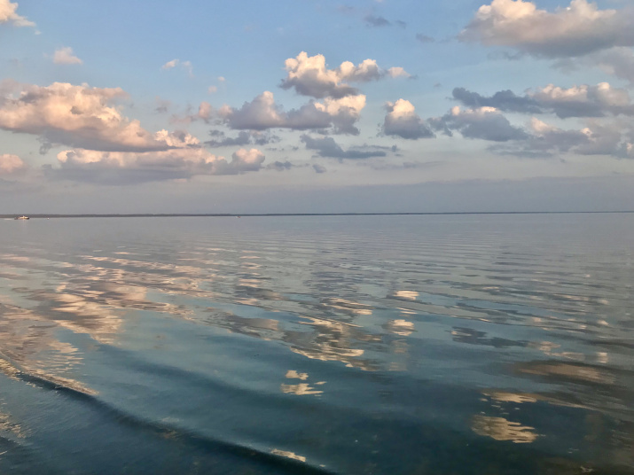 Фото: Шаталов Владимир и Кашицин Александр