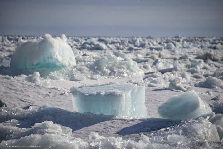 Ледоход на Енисее. Фото члена РГО Дениса Гаськова