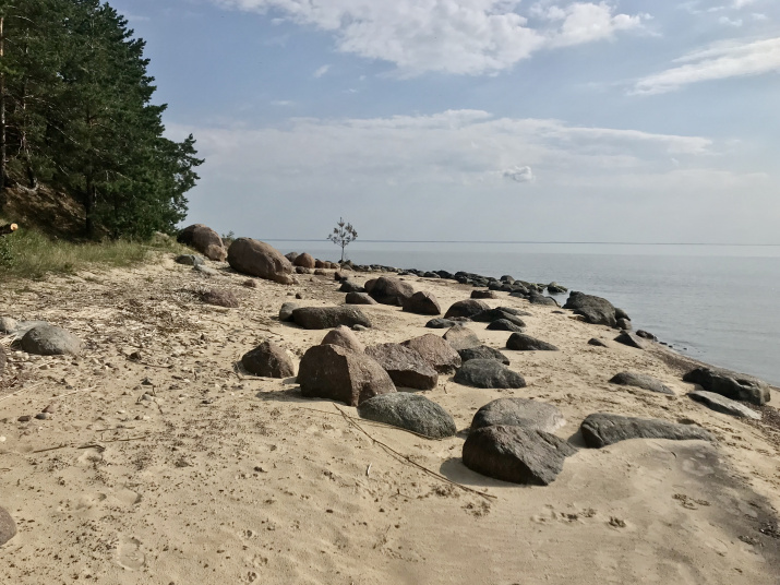 Фото: Шаталов Владимир и Кашицин Александр