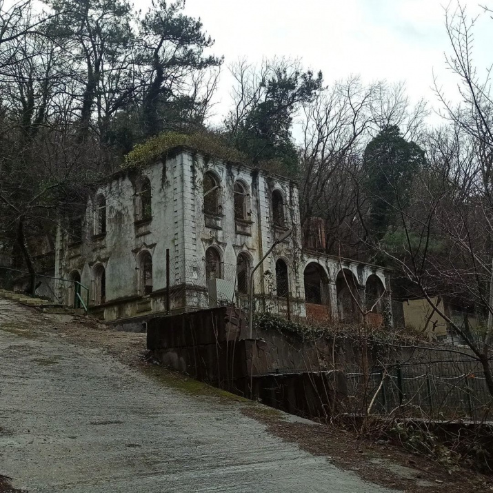 фото предоставлено Геленджикским отделением РГО