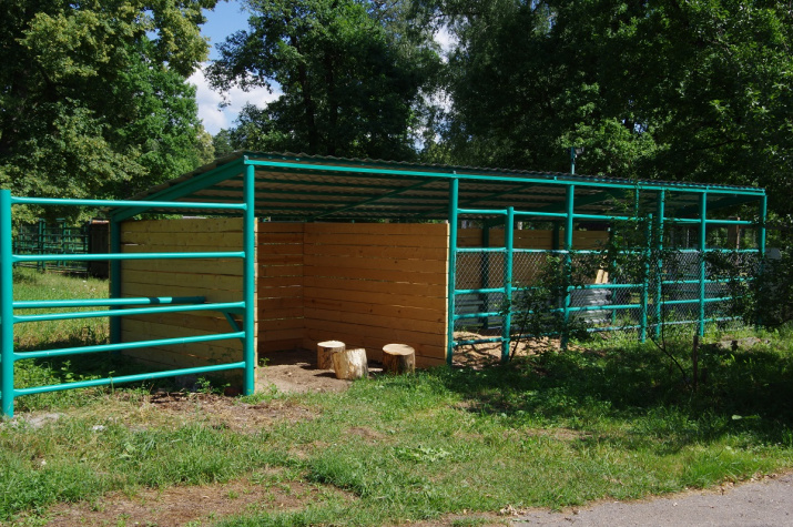 Инфраструктура отловного дворика Инфраструктура отловного дворика