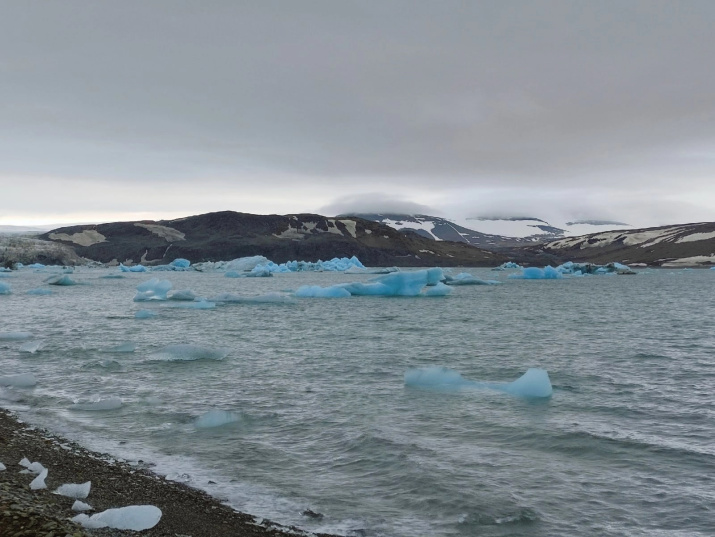 Айсберги в районе ледника Шокальского, остров Северный архипелага Новая Земля. Фото: Максим Червяков