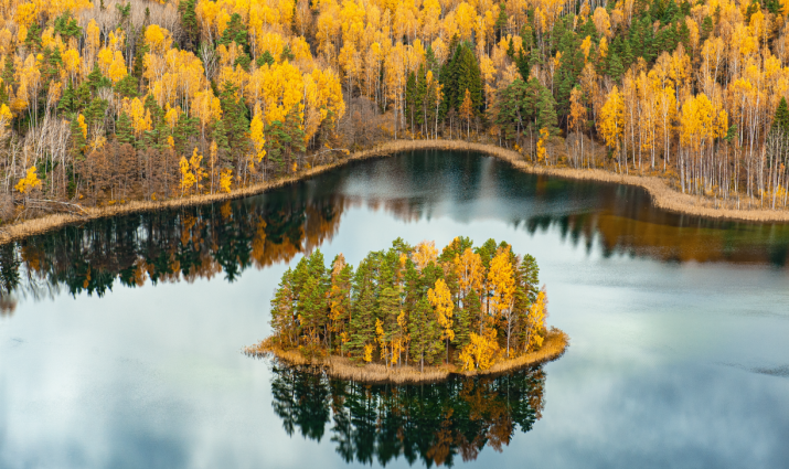Озеро Чистик в национальном парке "Смоленское Поозерье" Фото: Геннадий Дубино Озеро Чистик в национальном парке "Смоленское Поозерье" Фото: Геннадий Дубино