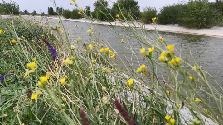 Крымский канал Фото Андрея Прокудина Крымский канал Фото Андрея Прокудина