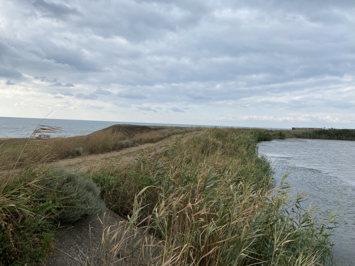 Пруд Яуше-Тыйнак, окрестности села Яковенково. Фото: Андрей Прокудин Пруд Яуше-Тыйнак, окрестности села Яковенково. Фото: Андрей Прокудин