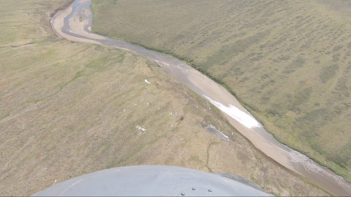 Садиться у такой реки вертолёту рискованно: земля может оказаться болотом. Фото: Алексей Никулин