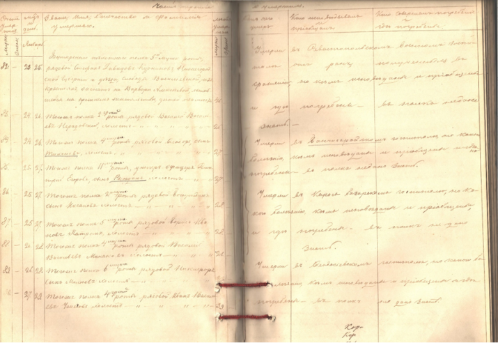 Фрагмент метрической книги. фото из архива Государственного Совета Республики Крым