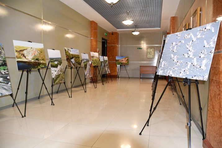 Фотовыставка Оренбургского реготделения РГО. Фото: Дмитрий Грудинин Фотовыставка Оренбургского реготделения РГО. Фото Дмитрия Грудинина