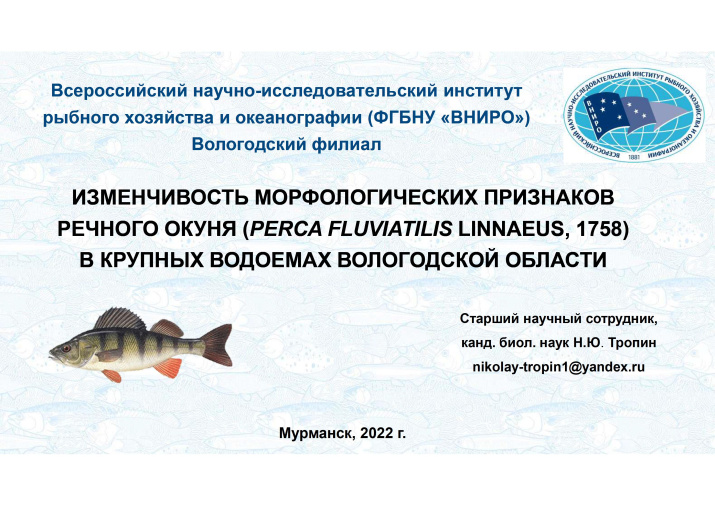 Из презентации выступления