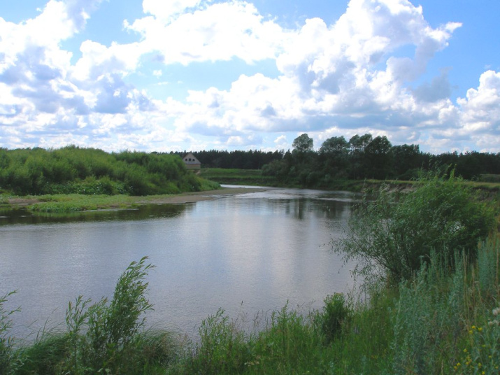 Река Илеть. Фото Е. Гончаров