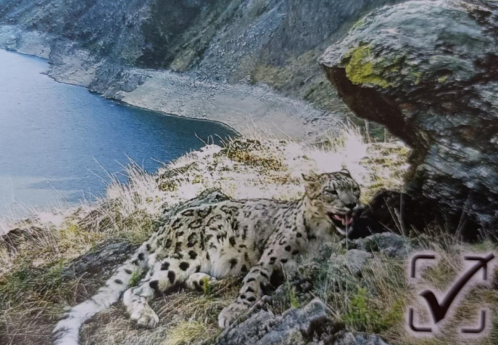 "Живые фотографии". Фото Елены Скоробогатовой