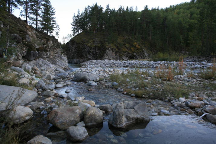 Ручей с минеральными источниками, впадающий в низовье реки Алла. Фото: Владимир Горбатовский