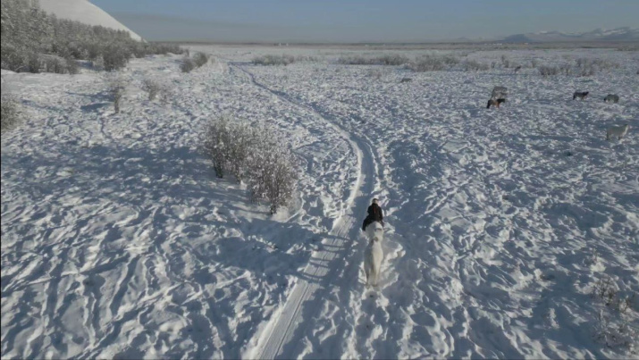 Фото: Д.Никонов