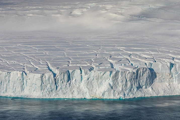 Из серии «Арктика и нарвалы». Фото: Кирилл Уютнов
