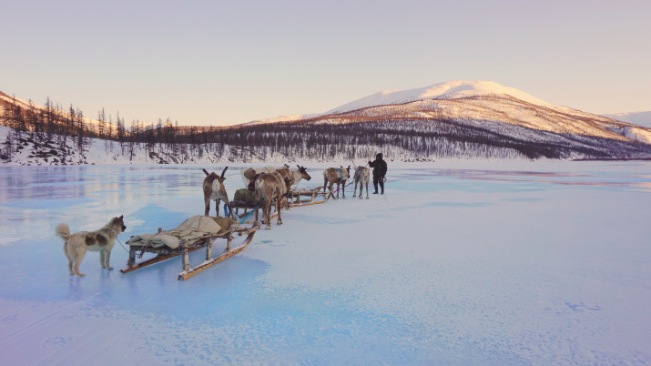 Кочевье по наледи. Фото: Н. Алаганчакова