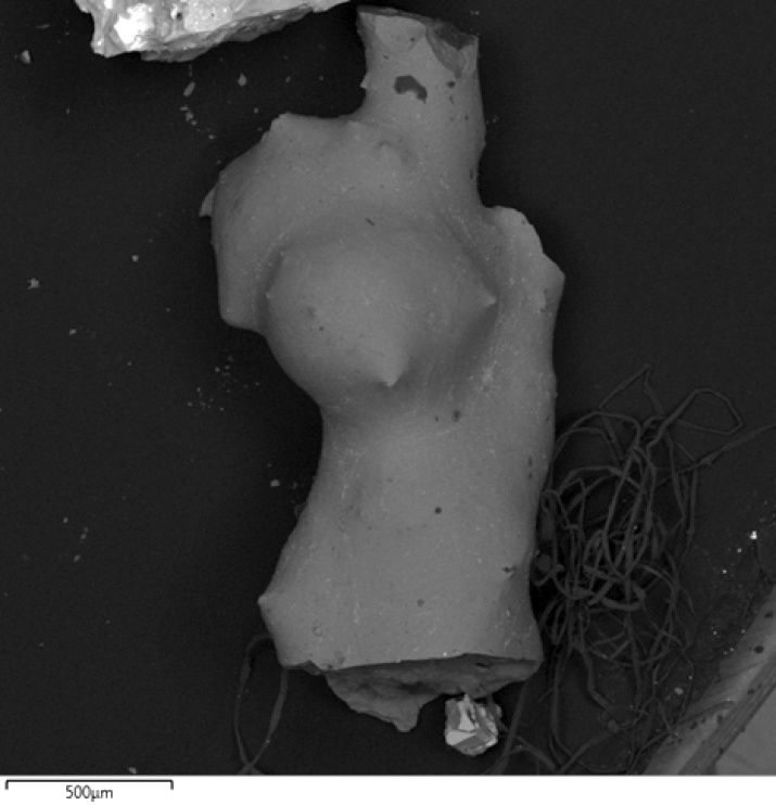 Венера Микронская © Кирилл Тарасов Венера Микронская © Кирилл Тарасов