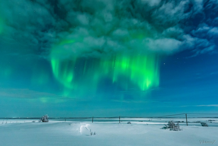 Северное сияние в виде дуги. Фото: Виктор Куликов