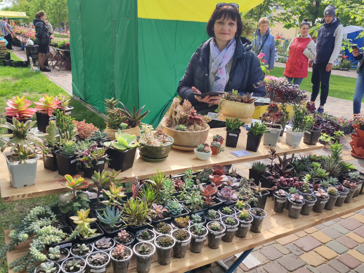 Суккуленты на параде цветов; фото: Игорь Петров