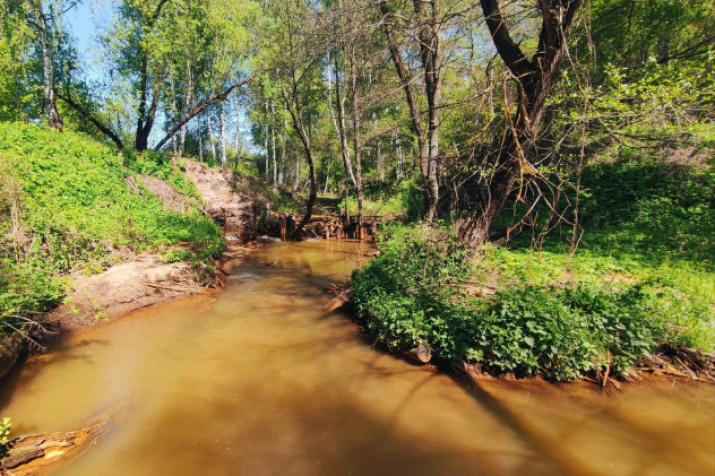Автор фото: Максим Червяков 