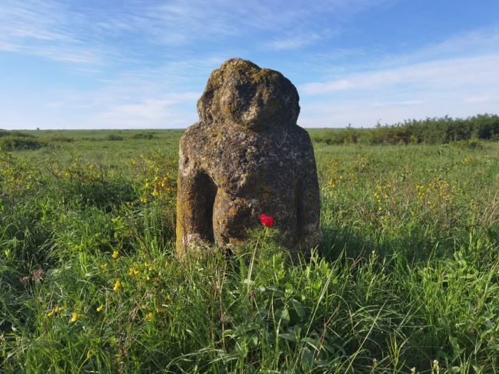 Половецкое каменное изваяние в Хомутовской степи. Фото: Александр Чибилёв