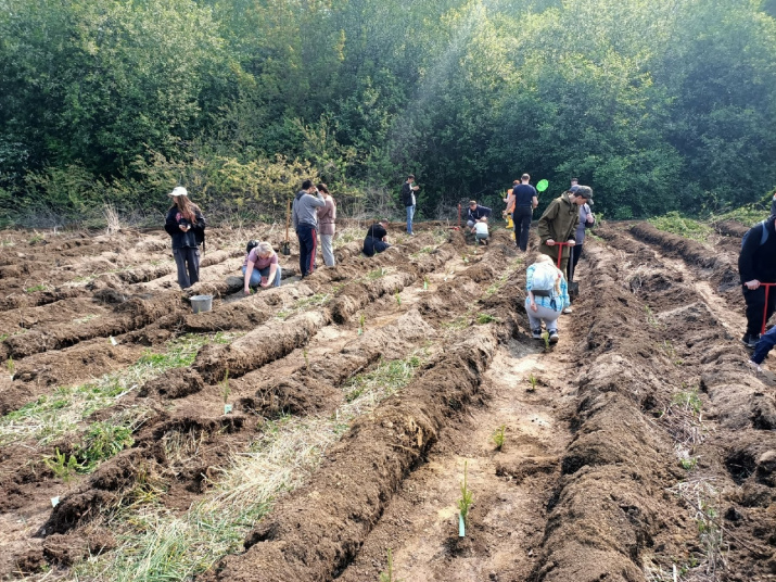 Фото: Михаил Семенов Фото: Михаил Семенов