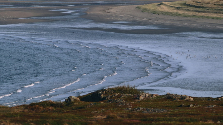 Губа Зубовская. Фото: Алексей Яшкин