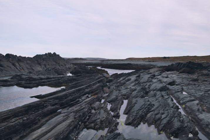Мыс Немецкий. Фото: Алексей Яшкин