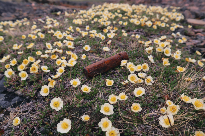 Память о войне на перевале Муста-Тунтури. Фото: Алексей Яшкин