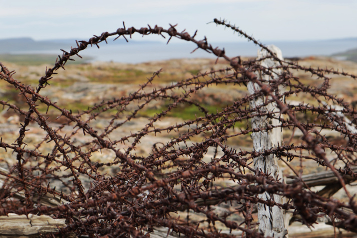 Память о войне на перевале Муста-Тунтури. Фото: Алексей Яшкин