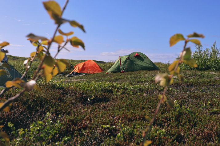 Экспедиционный лагерь. Фото: Алексей Яшкин