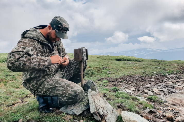 Автор: Никита Есенков 