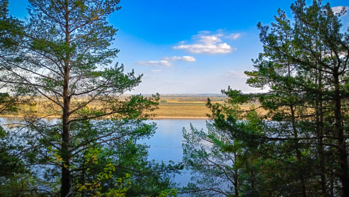 Автор: Юлия Лукьянова 