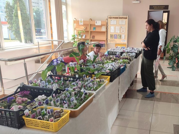 Множество редких сортов фиалок; фото: Игорь Петров