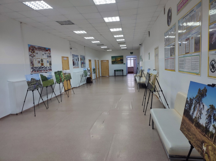 Фотовыставка «Картины природы степной Евразии». Фото: ОРО РГО Фотовыставка «Картины природы степной Евразии». Фото: ОРО РГО