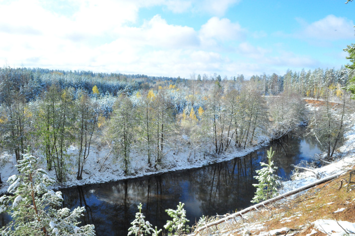 Река Боровка в нацпарке «Бузулукский бор». Фото: Александр Чибилёв