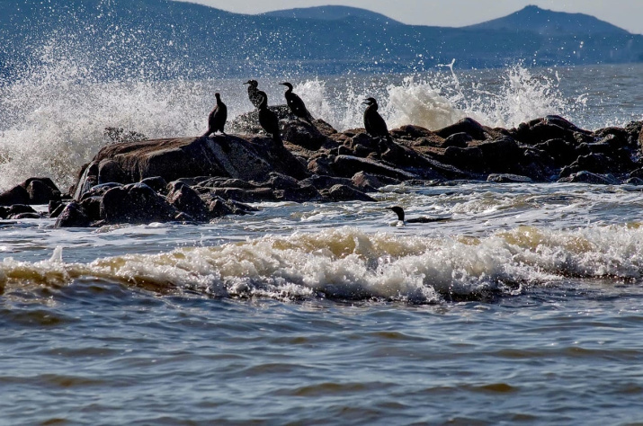 Автор фото: В. Остриков