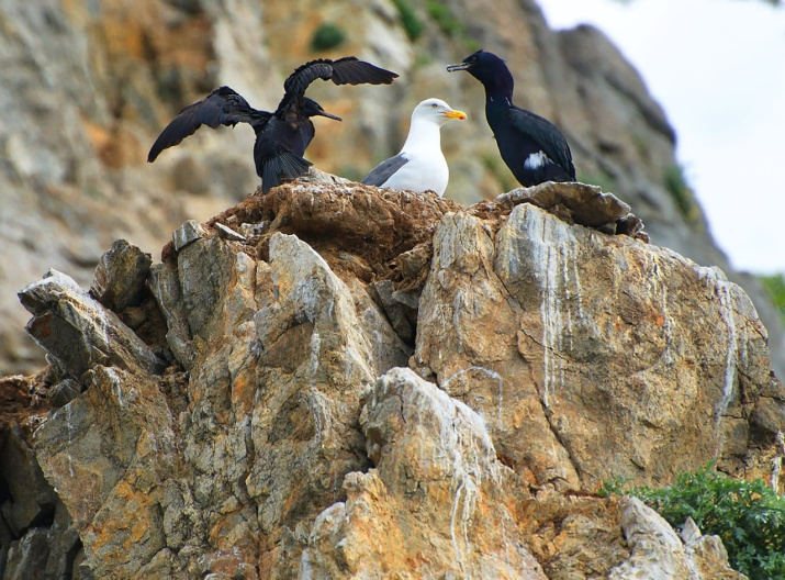 Автор фото: В. Остриков
