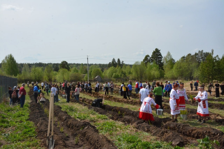 Участники акции высаживают ель европейскую. Фото ЧувРО РГО