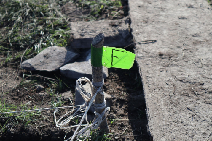 "Туннуг" всё ещё хранит множество исторических открытий. Фото: Красноярское краевое отделение РГО