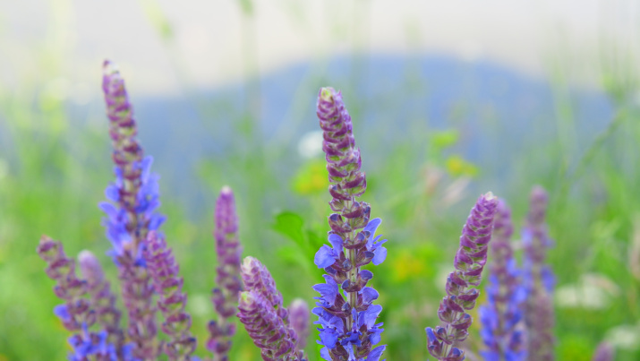 Фото: Даниил Ровкин