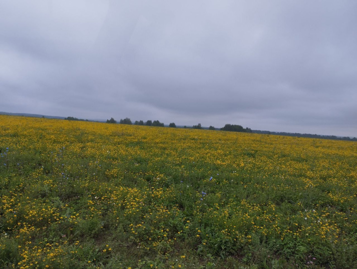 «Поле деятельности», которое должно быть и распахано и обследовано. Фото предоставлено Артёмом Кирилловых