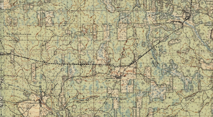 Фрагмент топографической карты 30-х годов, на котором показана Знеберская лесовозная дорога. Вдоль дороги – заболоченные леса и вырубки.