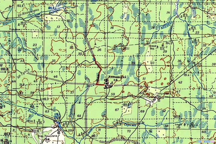 80-е г ХХ века. Железной дороги уже нет, вместо неё – грунтовая дорога, на которой стоит пос. Клёновский (≈150 жителей). А теперь пос. Клёновский нежилой
