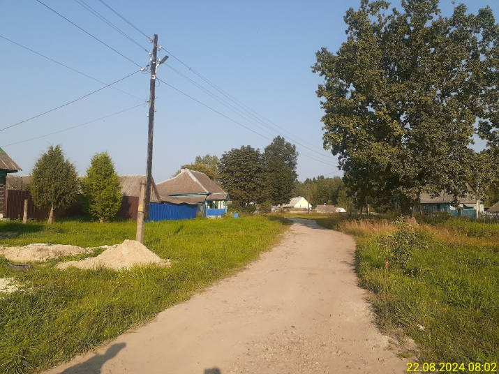 Улица на западной окраине д. Чернятичи