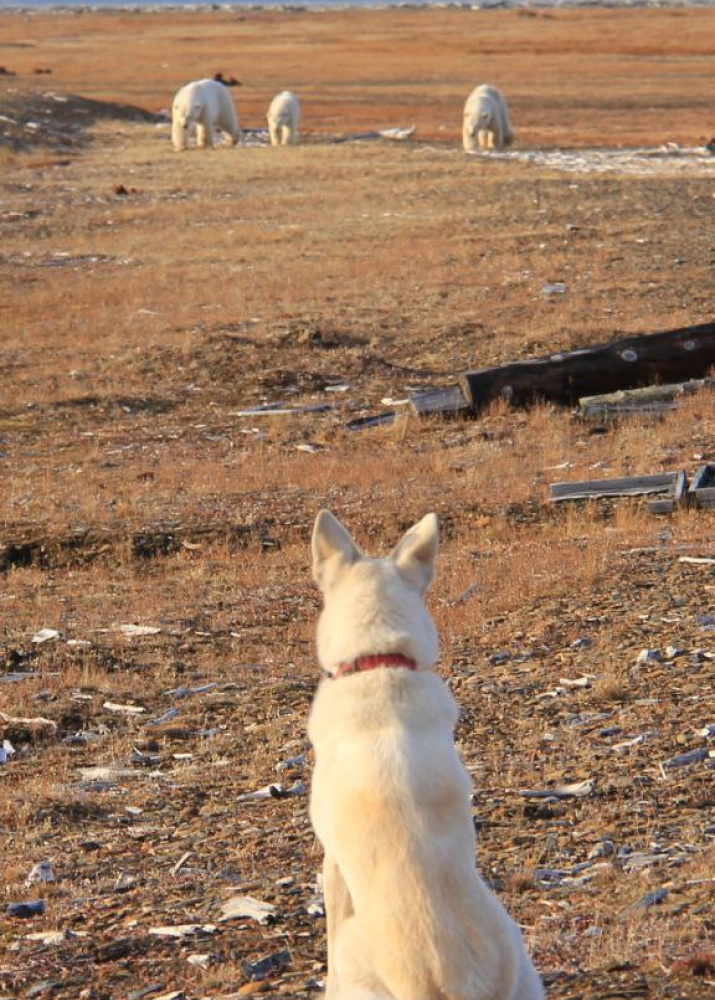 Что-то неожиданное. Фото: В. Стемпень Что-то неожиданное. Фото: В. Стемпень