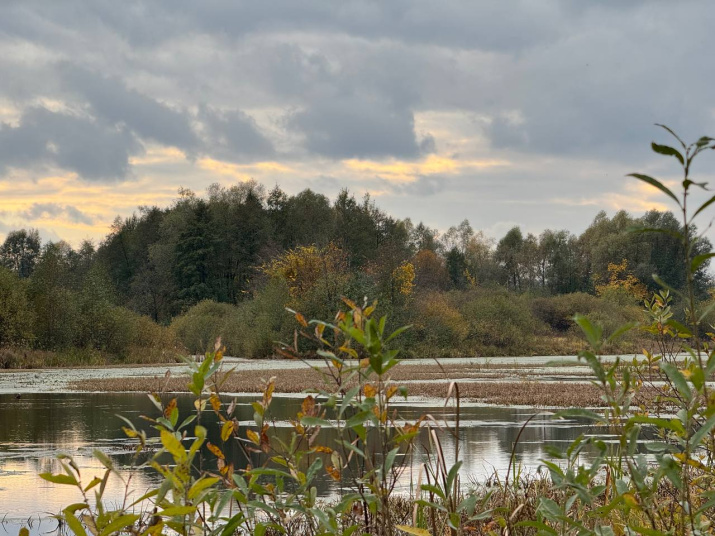 Осень.Фото: Ольга Ватина